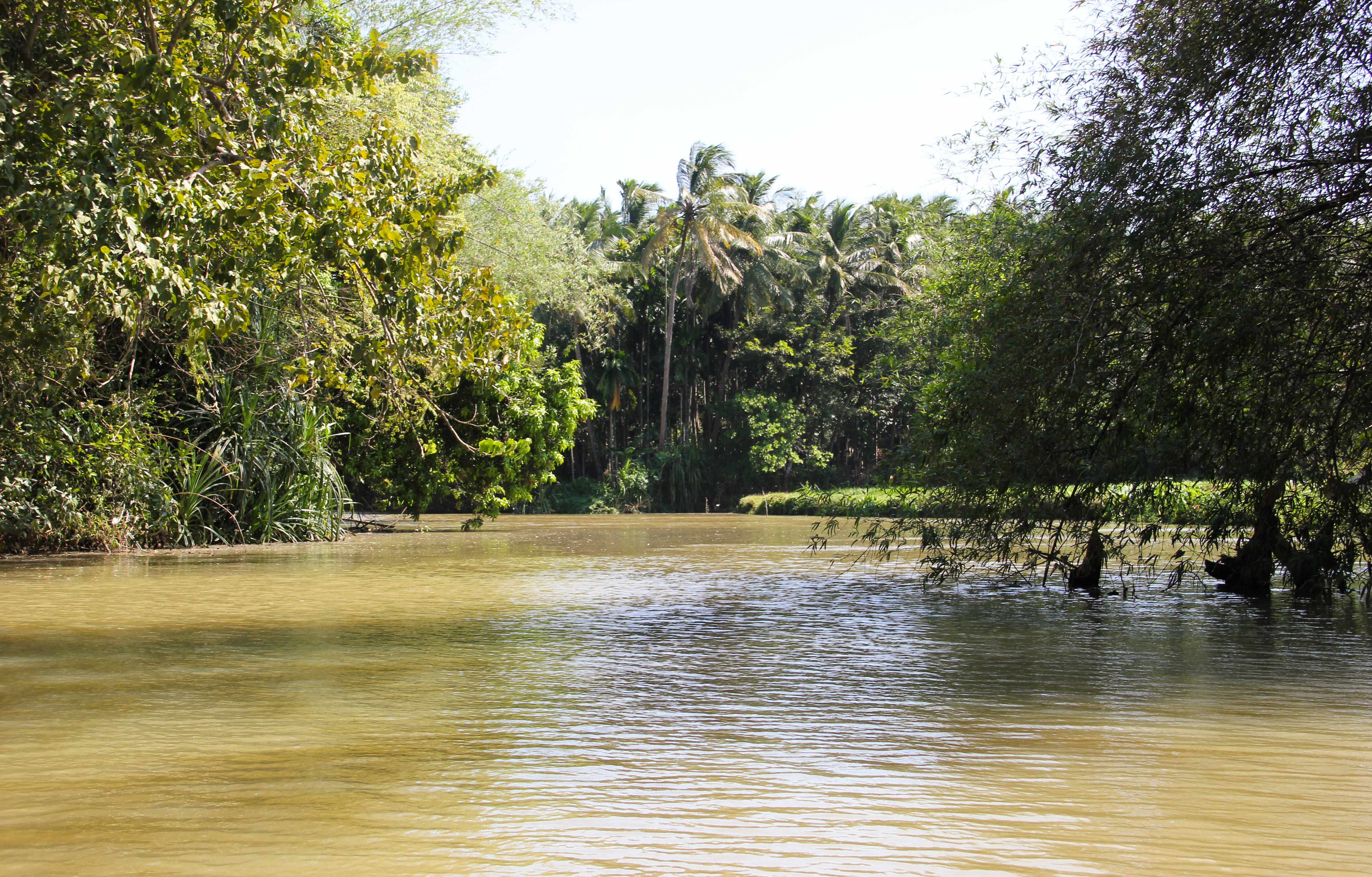 View of a 'Puzha' or a small river in Palakkad district: Despite receiving heavy showers from both the monsoons, many parts of Kerala face acute water stress during summer. 