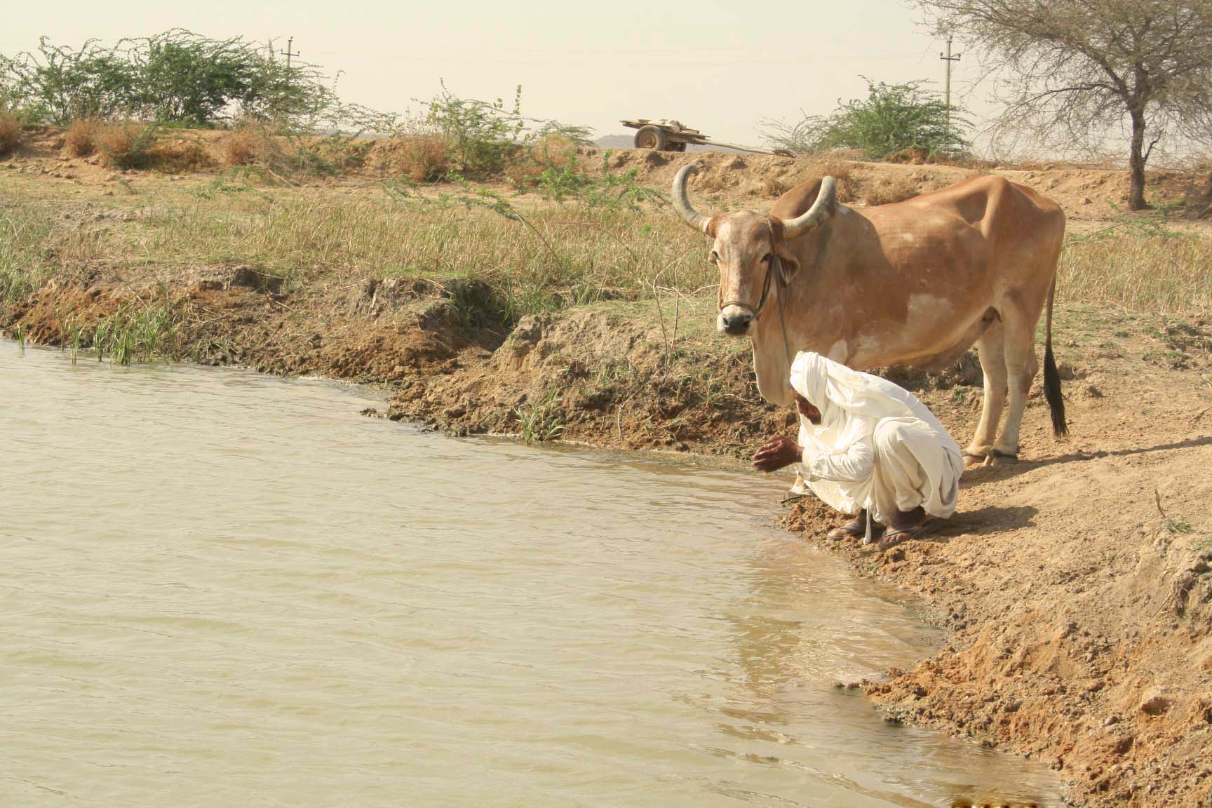 Anditimbi talav in Mewasa  is predominantly used for drinking by the villagers and their cattle. There is no other water source within 4 km radius of the pond.