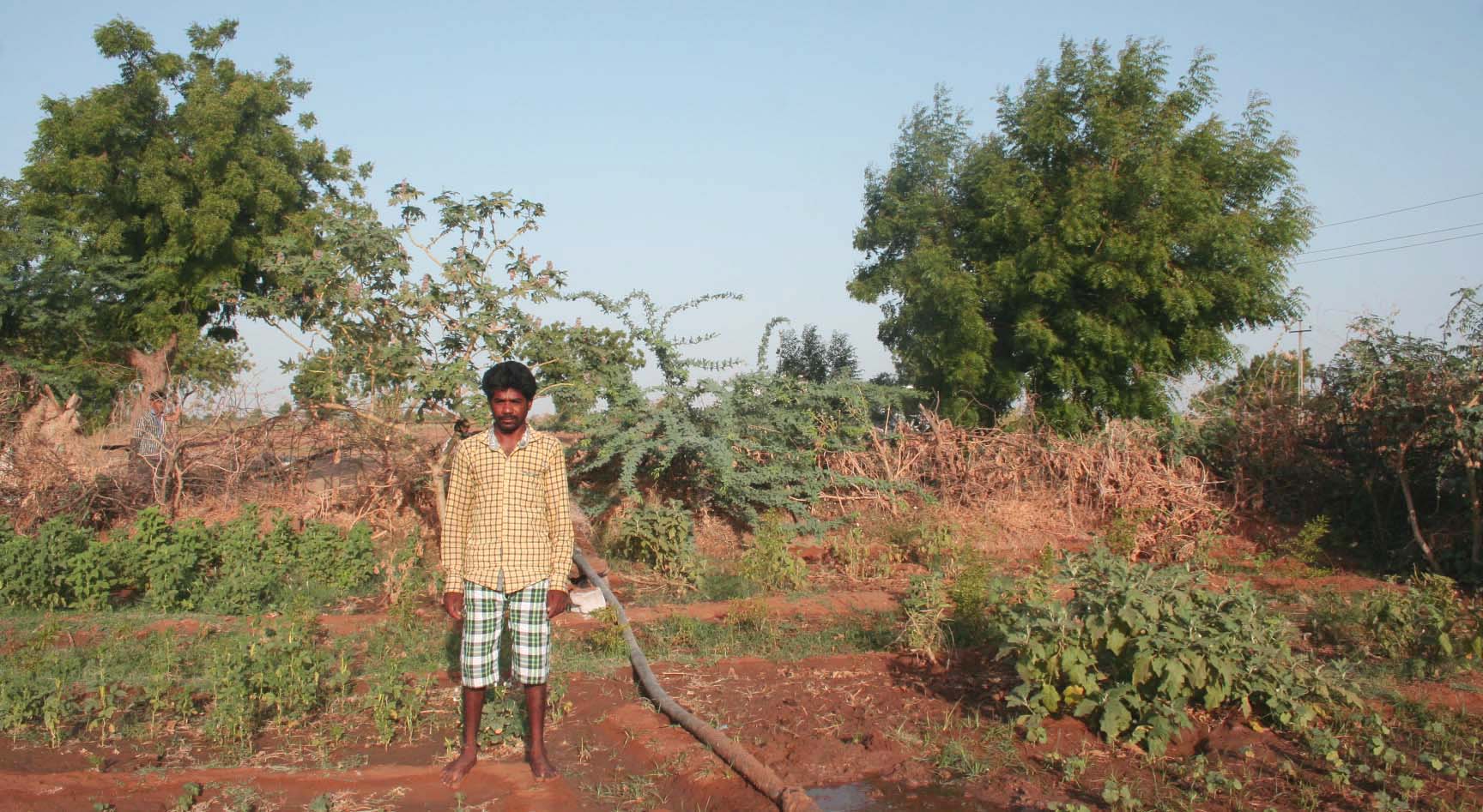 Velejibhai of Jodhpur vandh cultivates vegetables in his small farm and sells them at the market. Through his earnings, he has been able to sustain his family and send his three children to school.