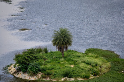 Puttenahalli Lake in Bangalore