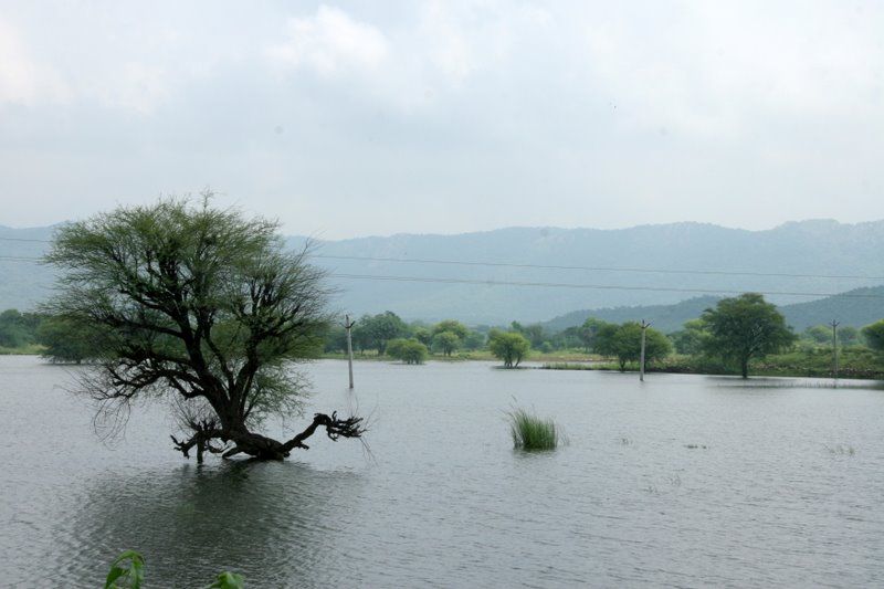 Johads are community-owned traditional harvested rainwater storages (Image: India Water Portal)