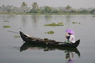 kerala backwaters