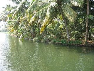 Kuttanad, Kerala