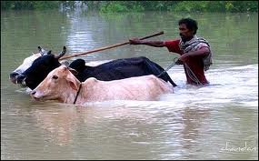 Kosi Floods