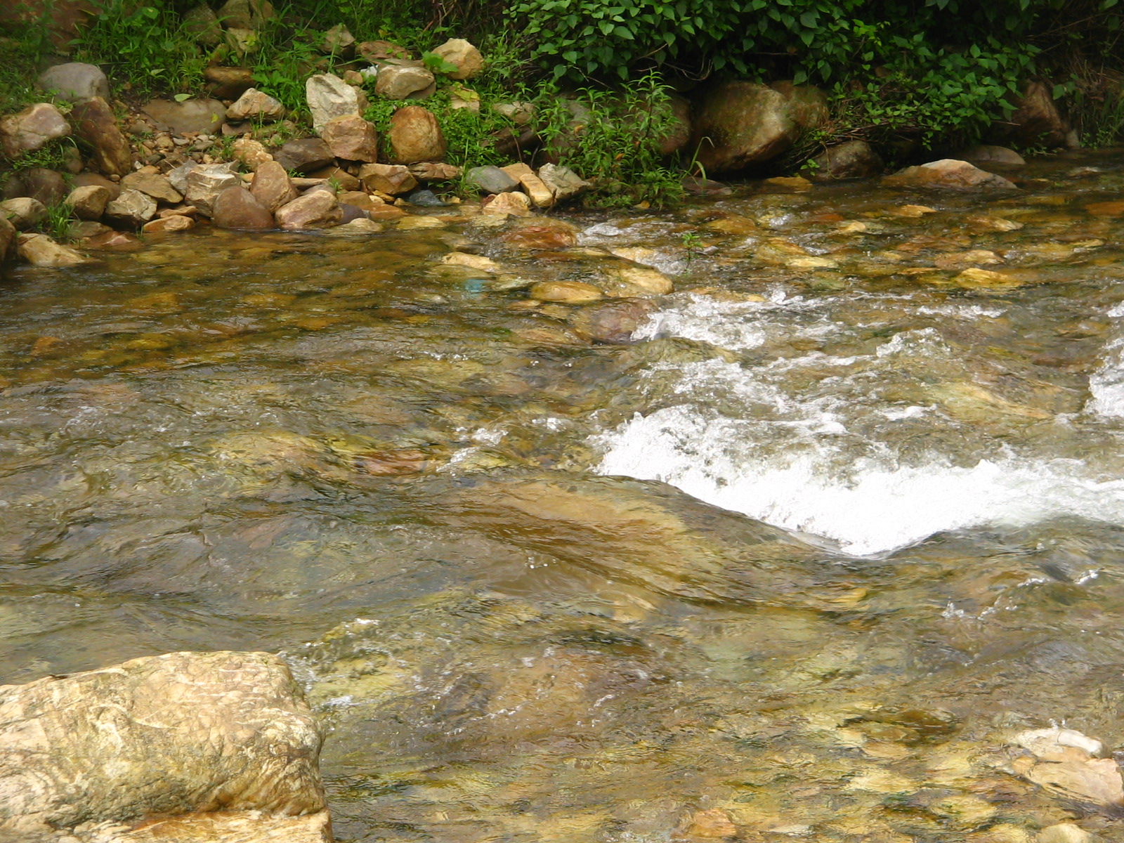 The Kosi near its source