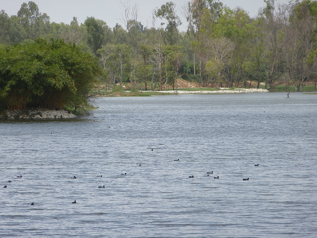 A vision where ecology was more important than tourist attraction, has come true today.