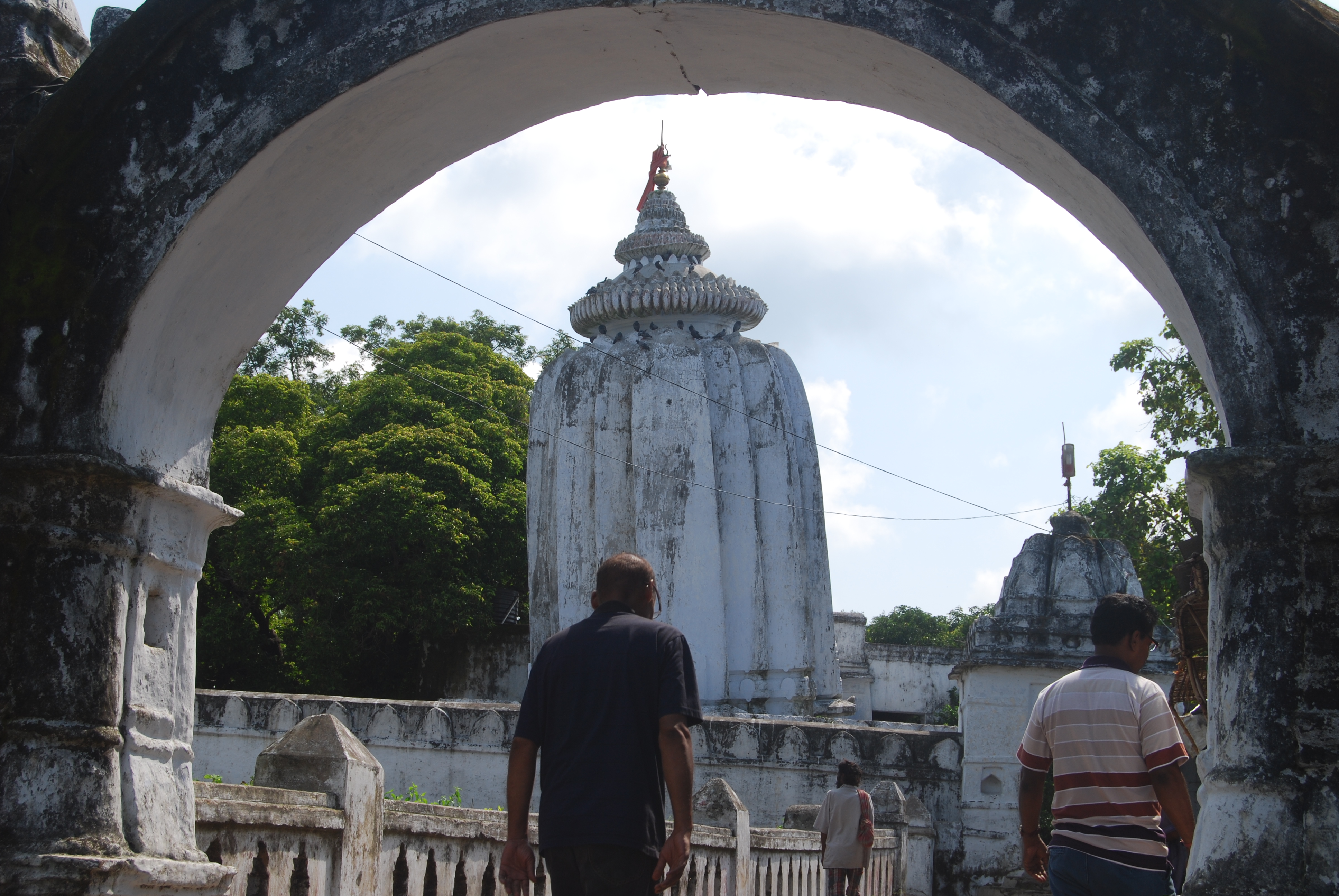 The river stretches near temples like the leaning temple of Huma serve as fish sanctuaries.