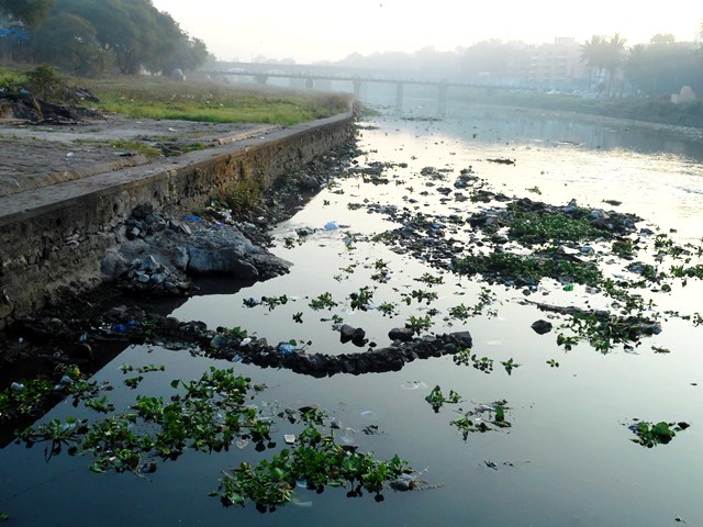 Deterioration of water quality of the Mutha due to domestic sewage (Source: India Water Portal)