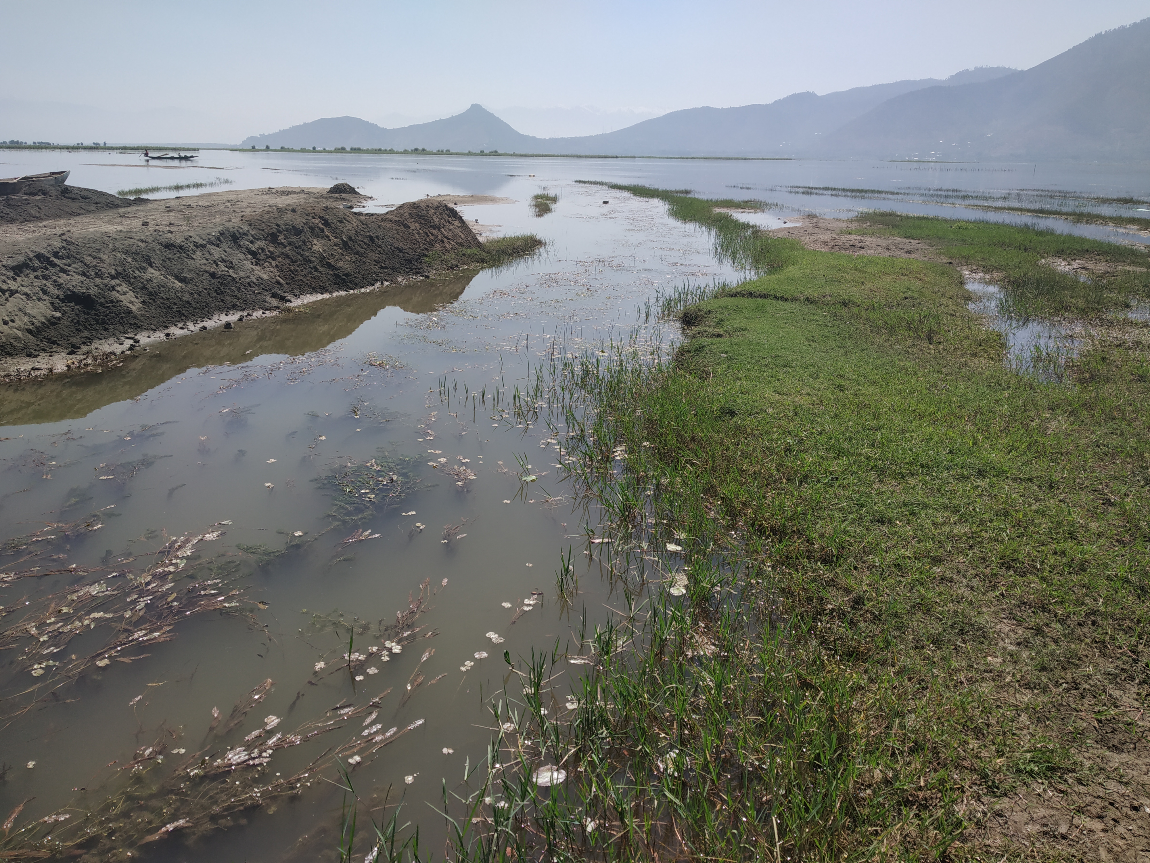 Once a freshwater lake, Wular now struggles for survival.