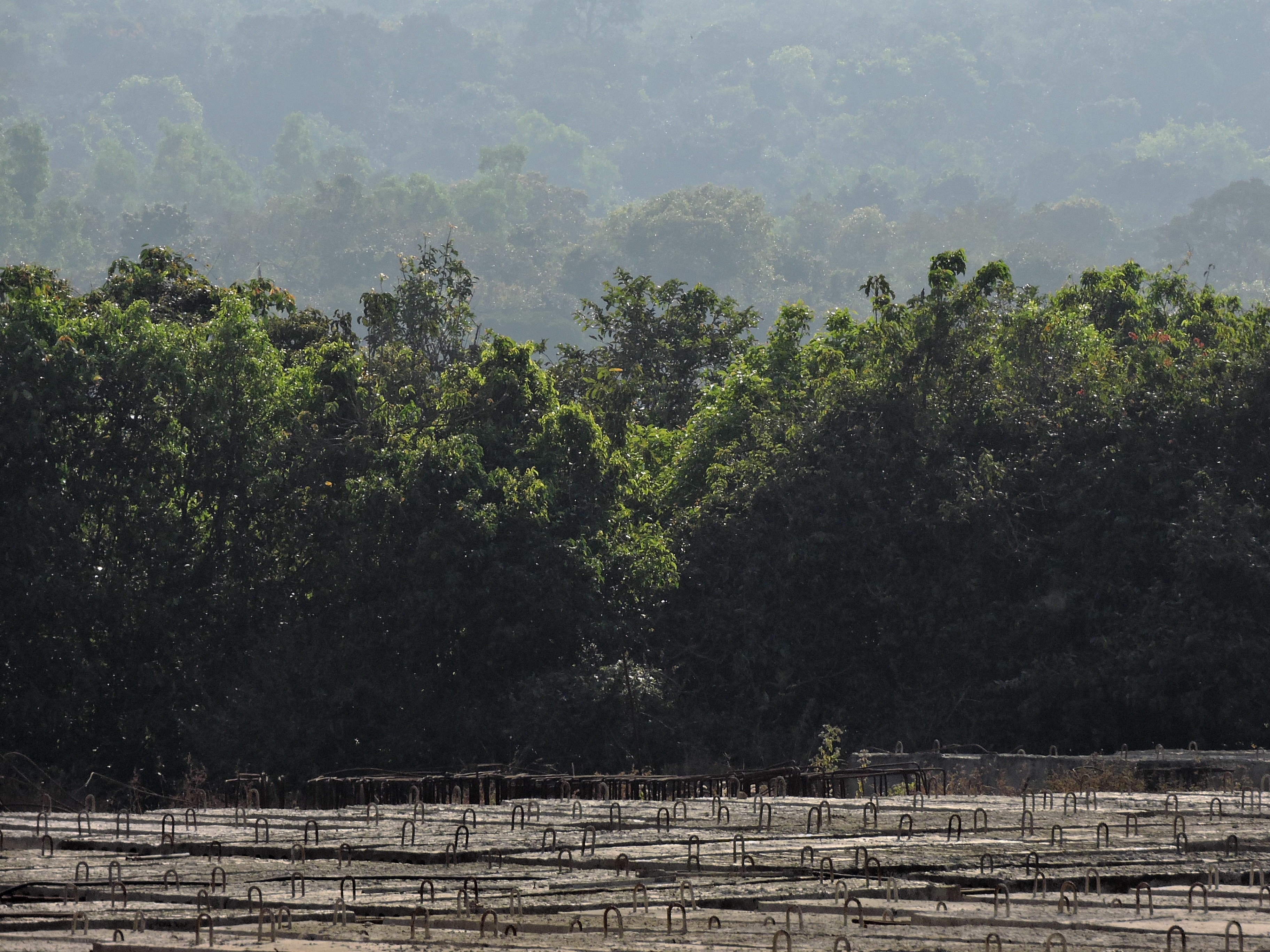 The proposed water diversion from the river may affect the sensitive Western Ghats, through which it flows.