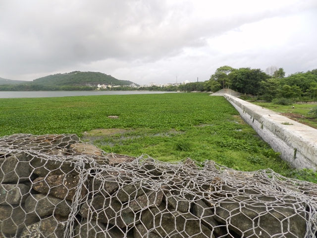 Rock wall constructed near the lake. (Image source: Dharmaraj Patil)