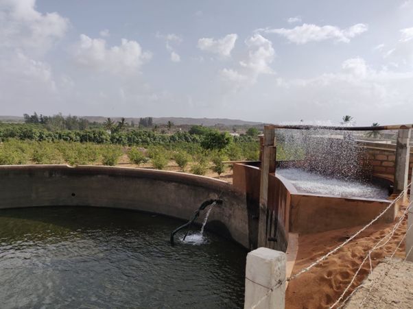 Sand-filtration unit with pomegranate and mango plantation in the backdrop (Image: Prayaas: The Movement of Grassroot Changes)