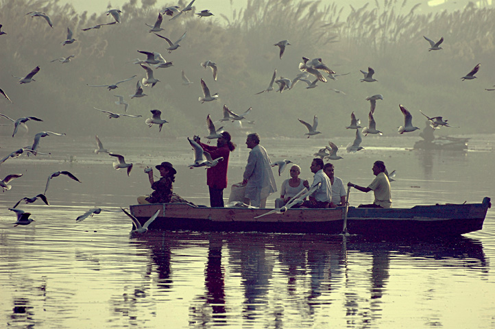 A glimpse of the Yamuna. (Image: Koshy, Wikimedia Commons, CC BY-SA 4.0)