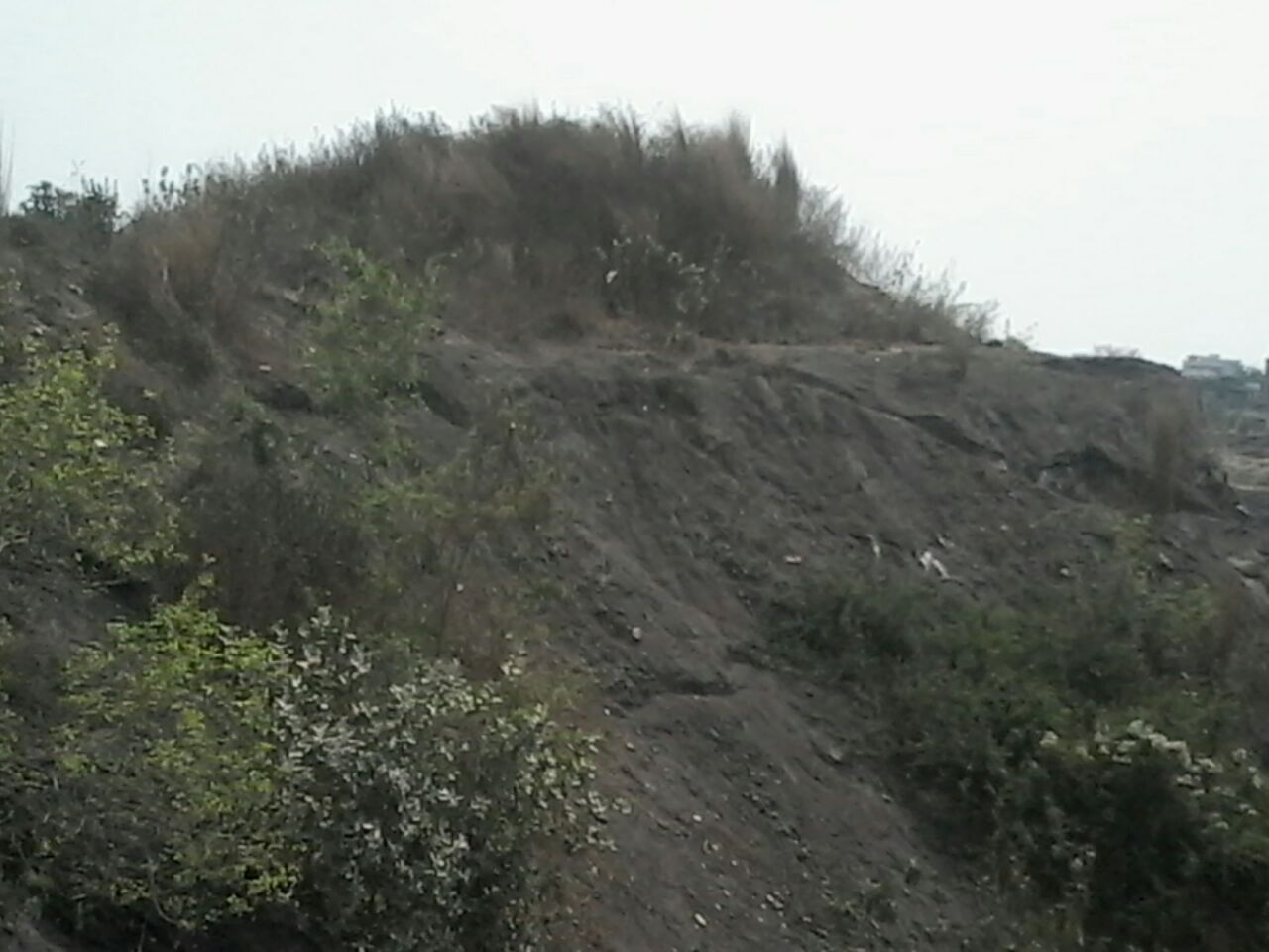 Slag has obstructed and narrowed the riverbed and is causing industrial waste poisoning of the river