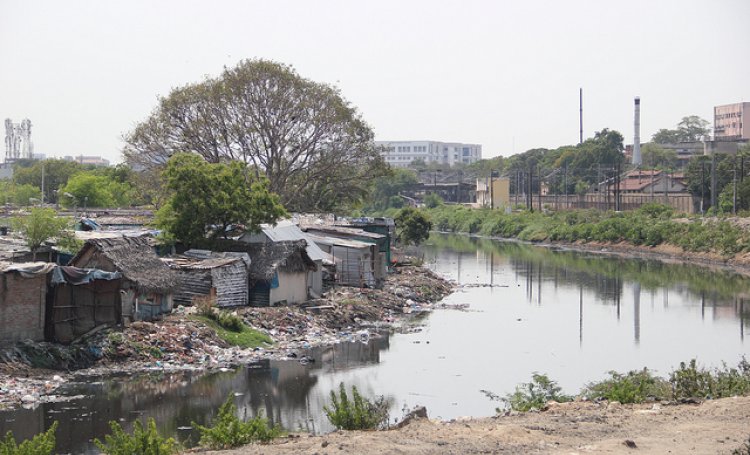The Cooum as it flows through Chennai today. 