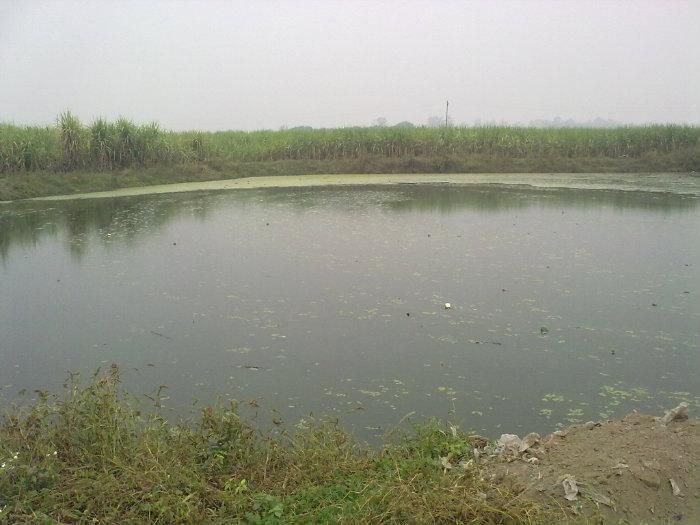 Talaab at Binauli; Image: Wikimapia