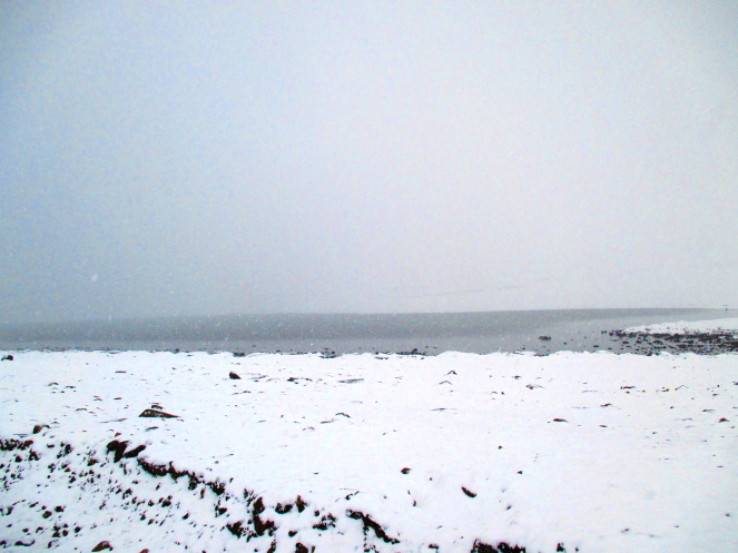 Tso Lamo lake where Teesta originates. (Image Source: Gauri Noolkar-Oak)