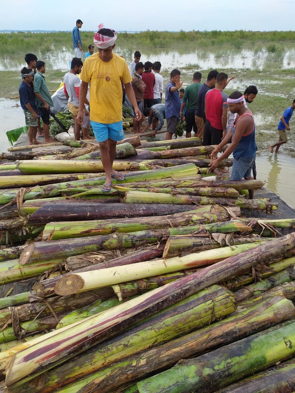 People in one of the villages worst-hit by floods and riverbank erosion providing food for the elephants (Image: Pulin Hazarika)