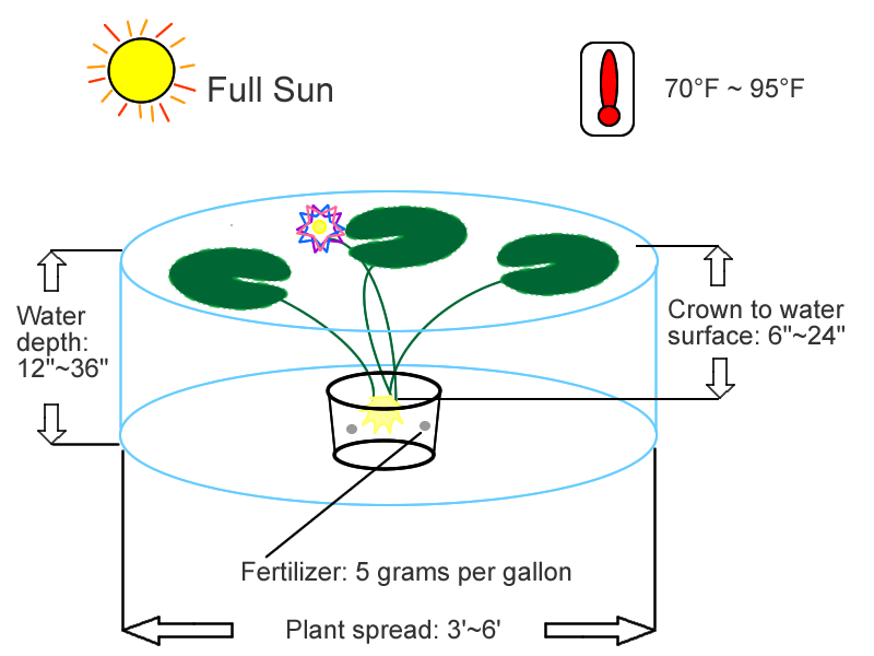 water temperature 