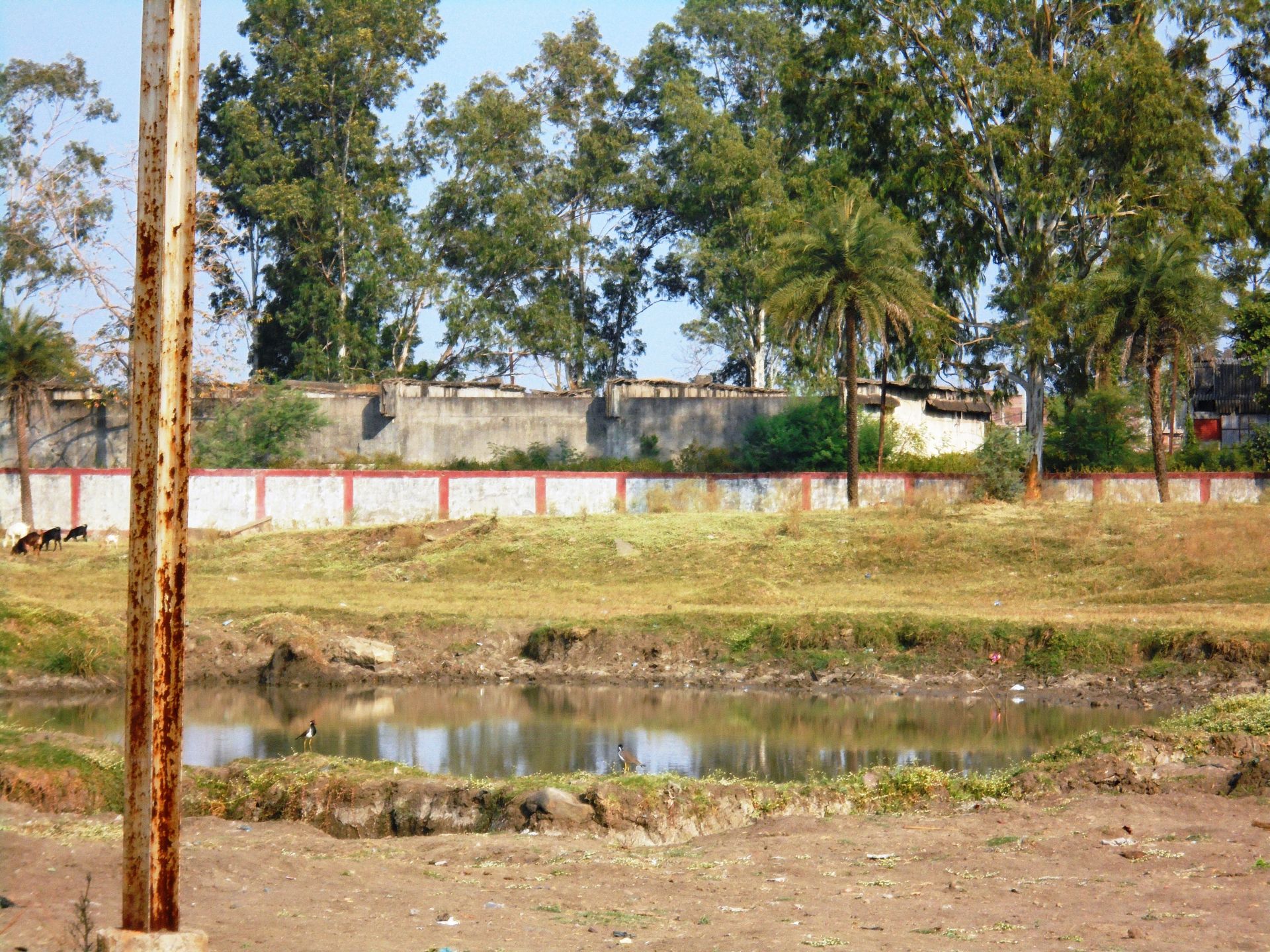 Pools of water near UCIL site