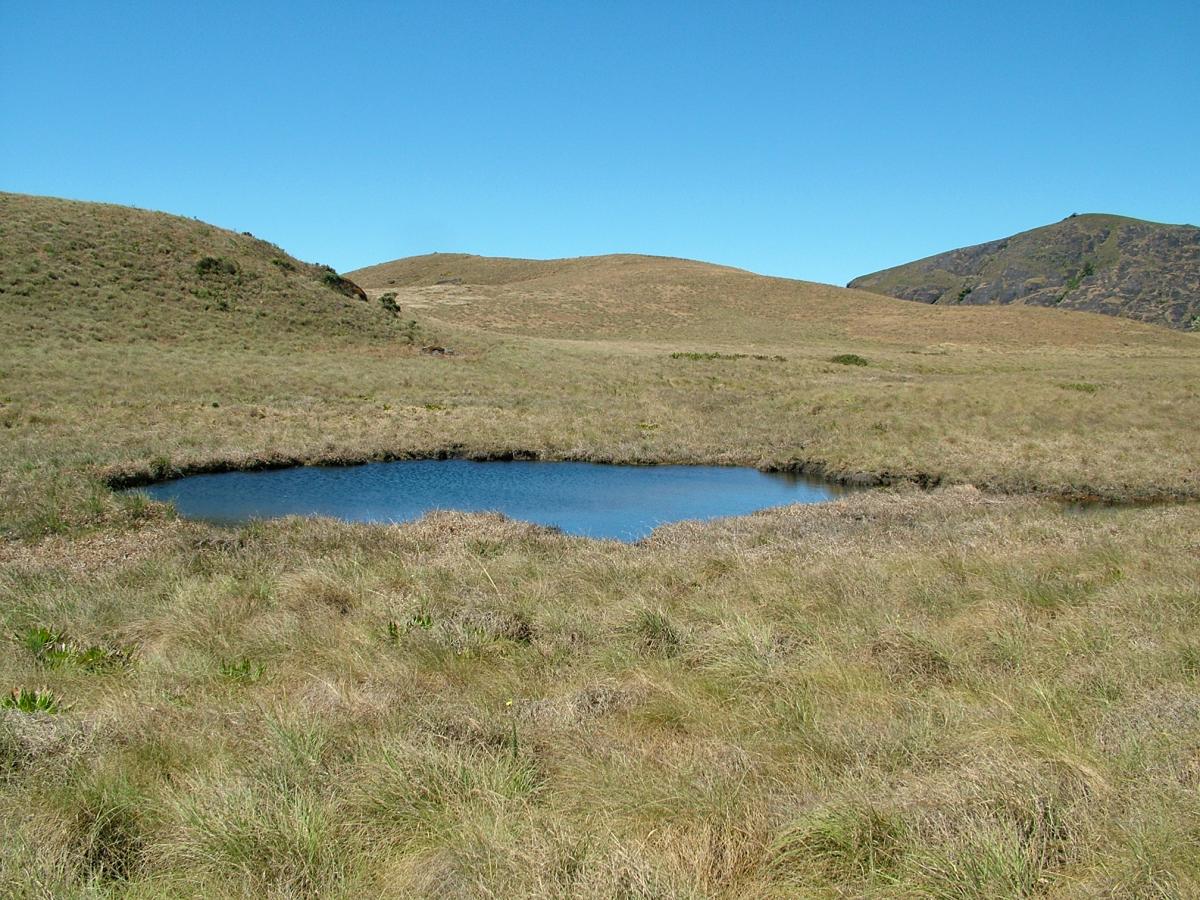 Bison Swamp Source: Keystone Foundation