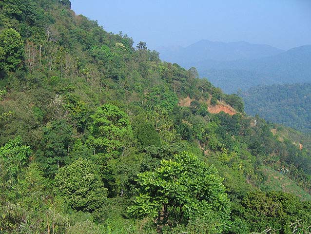 Western ghats in Kerala; Source: Vinayaraj, Wikimedia 