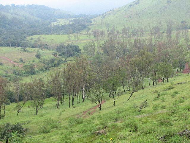 Western ghats in Karnataka; Source: Man on Mission, Wikimedia 