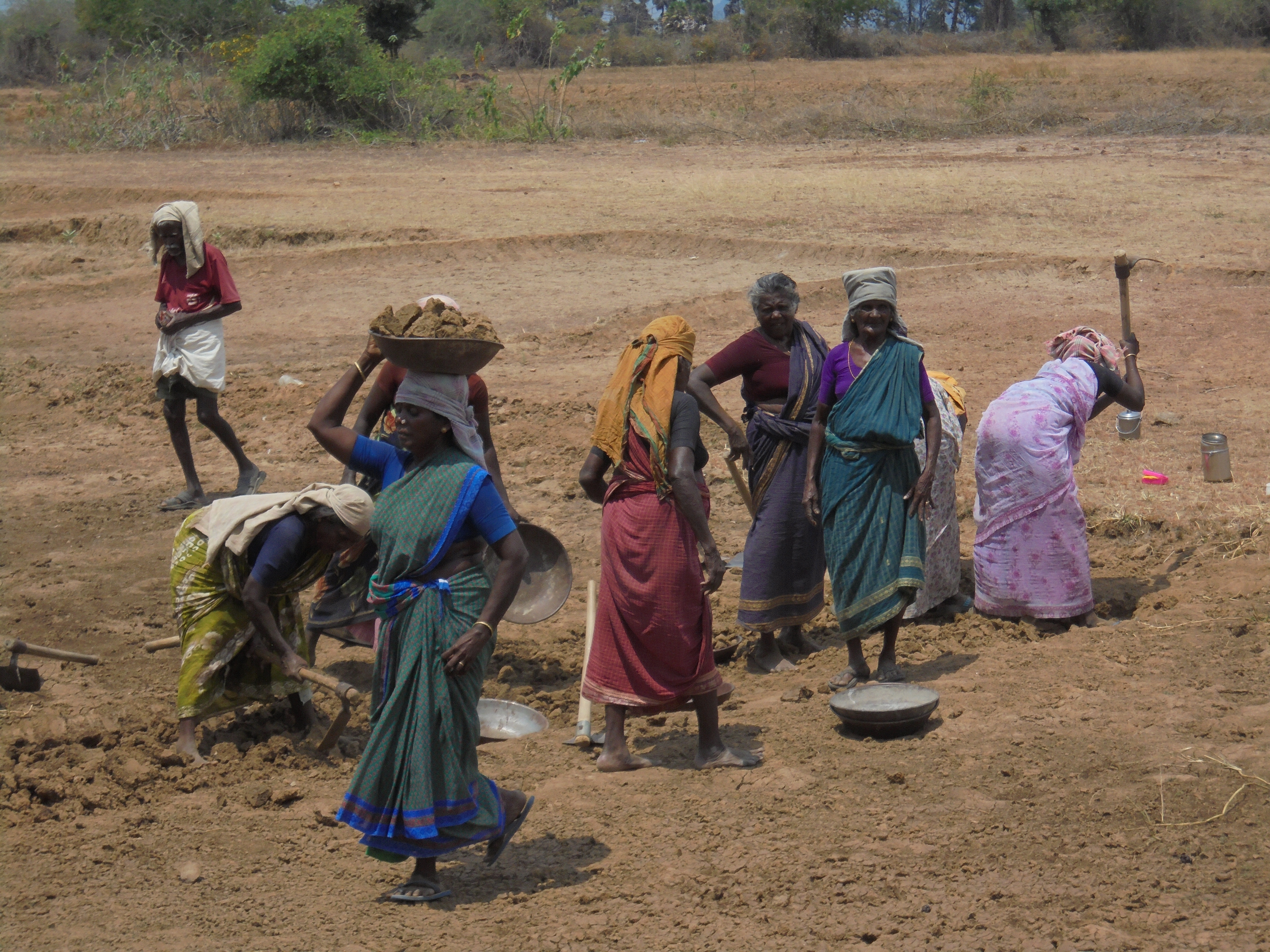 All-women worksite on tank renovation at Sivagangai