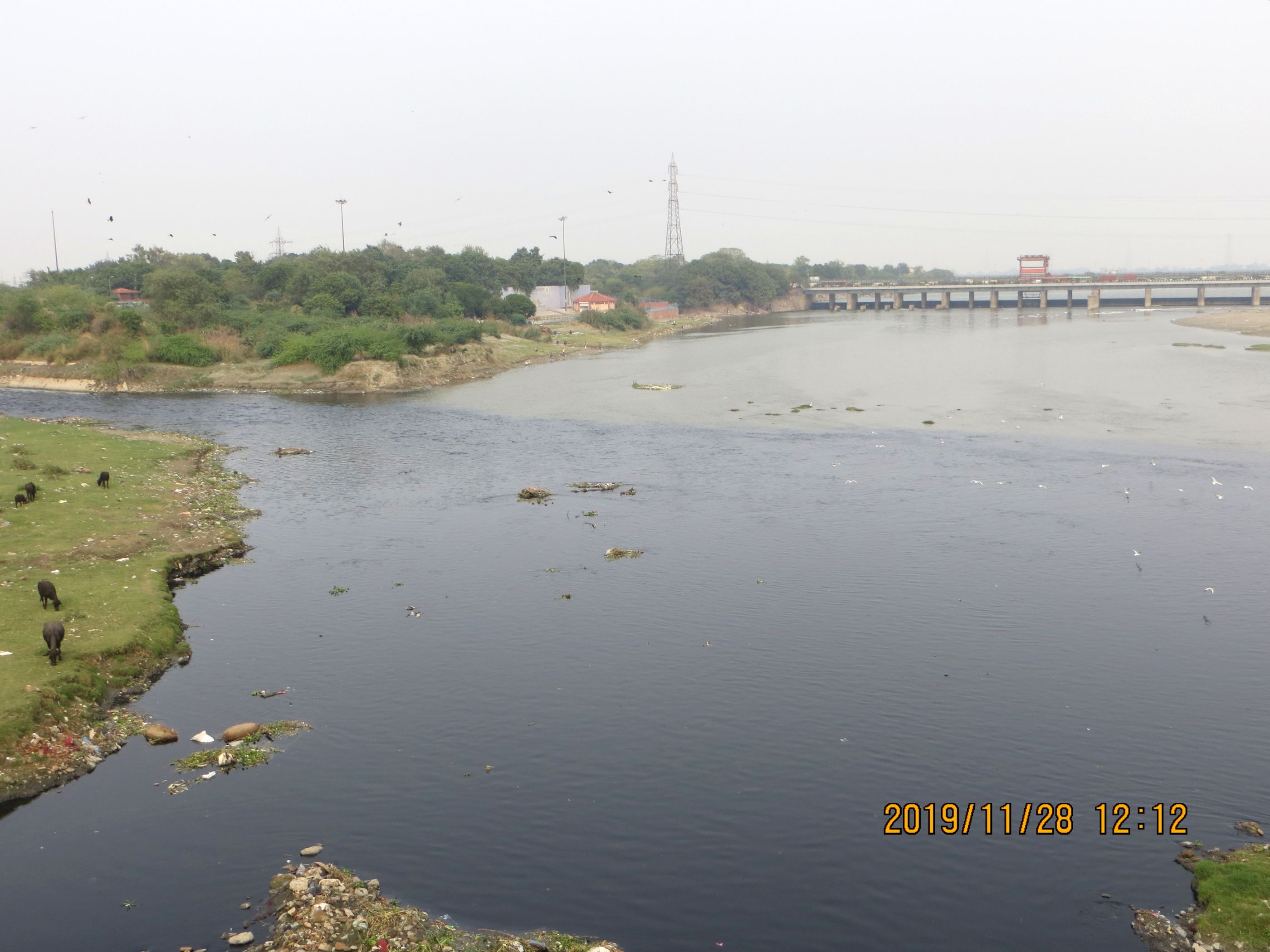 The point at which the 10-m-wide Najafgarh drain, a storm water drains into the Yamuna, the river's colour changes into a darker shade. (Image: Nutan Maurya)