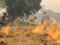 The small window of a fortnight between rice harvesting and wheat sowing compels farmers to burn the crop residue (Image: Neil Palmer, Wikimedia Commons, CC BY SA-4.0 Generic)