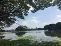 Ulsoor lake, Bengaluru (Image Source: Subhashish Panigrahi via Wikimedia Commons)