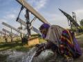 Solar power has huge potential for application in the agriculture sector, especially in the irrigation space. (Image: IWMI)