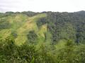 Jhum cultivation in Nokrek biosphere reserve, Meghalaya (Image: Wikimedia Commons, CC BY 2.0) 