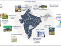 Different solar irrigation policies in India (Image: IWMI)