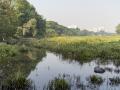 Mula-Ram river confluence stretch at Aundh-Baner link road, Pune (Image Source: Jeevitnadi)