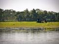 Wetlands are an essential component of our ecosystem (Image source: IWP Flickr photos)