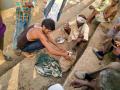 Fish harvesting by Changariya fishing cooperative, Mandla, Madhya Pradesh (Image: Foundation for Ecological Security)