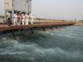 Yamuna flows under (Image source: IWP Flickr photos)