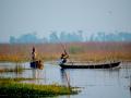 Ramsar Site: Kabartal Wetland (Site no. 2436) - Kabartal Wetland, also known as Kanwar Jheel, covers 2,620 hectares of the Indo-Gangetic plains in the northern Bihar State. The Site is one of 18 wetlands within an extensive floodplain complex; it floods during the monsoon season to a depth of 1.5 metres. (Image: Credit: Wetlands International South Asia, 2015)