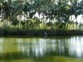 Wastewater generated from households in the catchment area of a pond contaminates its waters (Image: Wikimedia Commons)