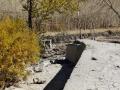 A broken bridge which connected tiny place called Zingchen (Image: Karuna Chhimed)