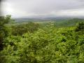 Shrinking forests of Odisha (Image Source: Wikimedia Commons)