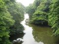 The Karamana river in Thiruvanathapuram, Kerala (Image Source: India Water Portal)