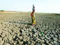 Recurrent droughts and the struggle for survival (Image Source: Gaurav Bhosale via Wikimedia Commons):