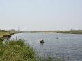 River Mahanadi in Chhattisgarh (Image source: IWP Flickr photos)