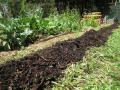 It was environmentally beneficial to treat biomass locally rather than in a centralized unit. (Image: Zack Dowell)