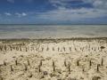 Effects of climate change on this low-lying lands (UN Photo/Eskinder Debebe)