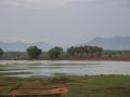 A tank on the outskirts of Madurai, Tamil Nadu