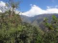 Forest cover of Himachal Pradesh