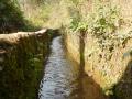 A small canal in Chanaute, Birendranagar, Nepal. (Photo: Janak Poudel (CC BY 4.0 SA)